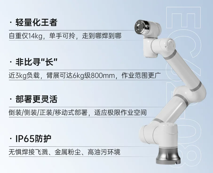14.webp